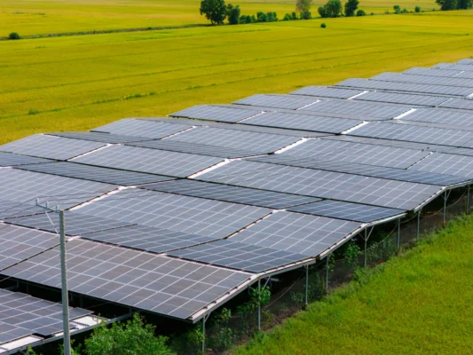 Trang trại điện mặt trời kết hợp nông nghiệp Agri-PV tại Việt Nam