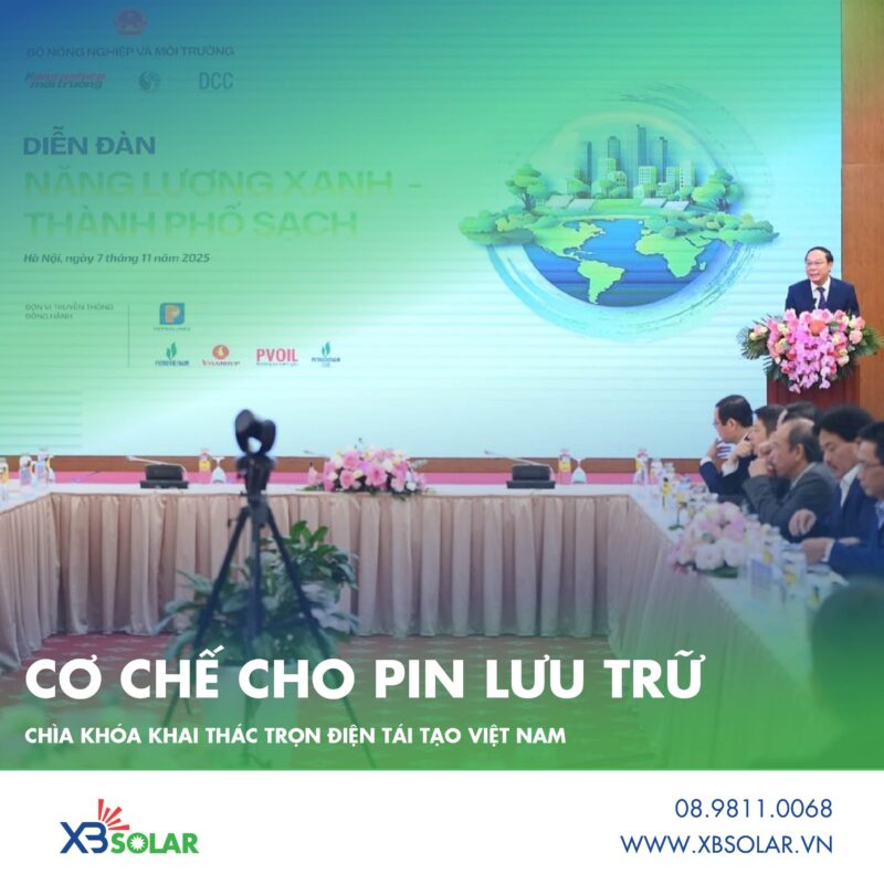 co-che-cho-pin-luu-tru-chia-khoa-khai-thac-tron-dien-tai-tao-viet-nam